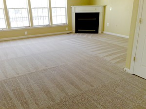 Carpet Cleaning springfield ma